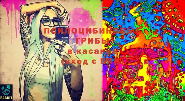 сатива Алексин