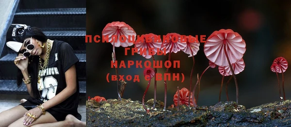 дживик Алзамай