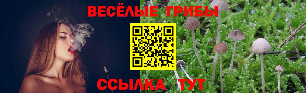 Псилоцибиновые грибы GOLDEN TEACHER  Галлюциногенные грибы GOLDEN TEACHER  Железноводск  Вход с VPN 
