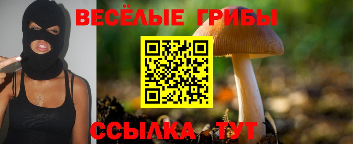 Псилоцибиновые грибы ЛСД Железноводск